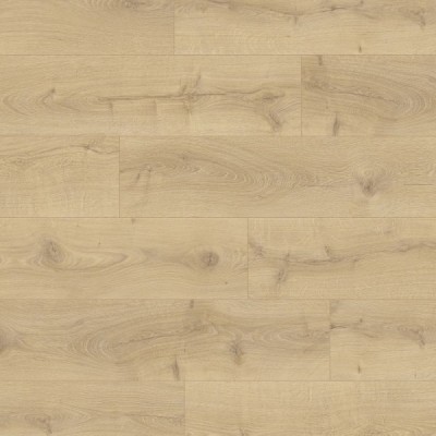 DĄB WIKTORIAŃSKI NATURALNY RBACL40156