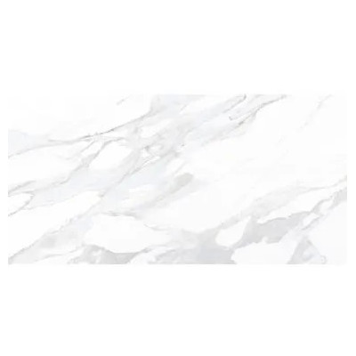 Gres szkliwiony Satvario Verox połysk 60x60 Gat.1