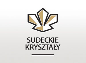 Statuetka Sudeckiego Kryształu w rękach Domino Polska